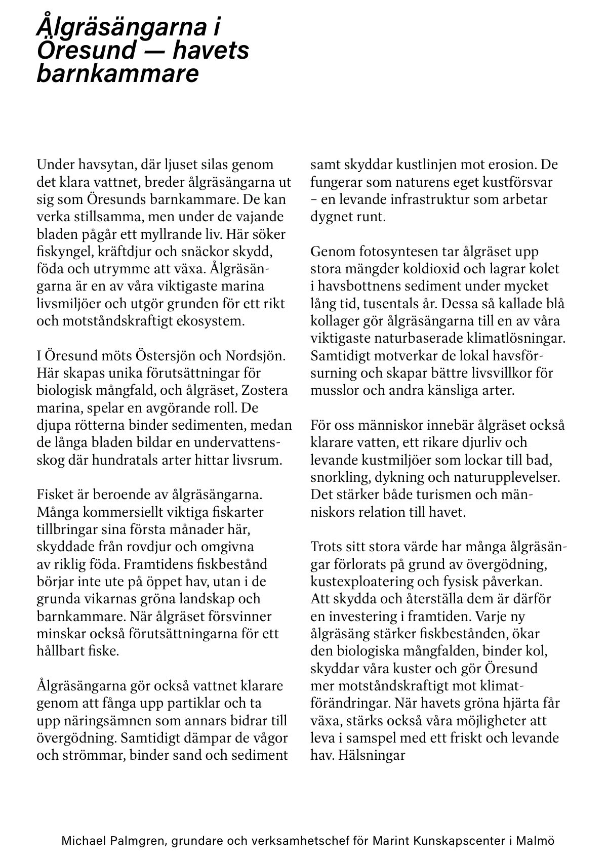 Ålgräsängarna i Öresund, havets barnkammare, av Michael Palmgren, Marint Kunskapscenter i Malmö.